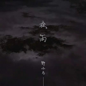 野小马《夜雨》Flac/MP3格式 无损音乐下载-无损音乐源