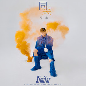 刘维《同类》Flac/MP3格式 无损音乐下载-无损音乐源