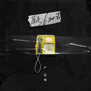 严浩翔《尾号6208》Flac/MP3格式 无损音乐下载-无损音乐源