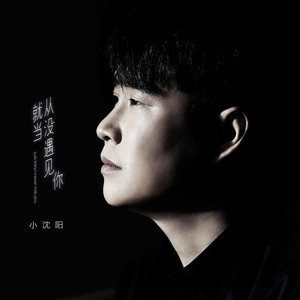小沈阳《就当从没遇见你》Flac/MP3格式 无损音乐下载-无损音乐源