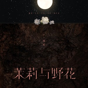 L（桃籽）《茉莉与野花》Flac/MP3格式 无损音乐下载-无损音乐源
