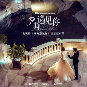崔子格《真心假意》Flac/MP3格式 无损音乐下载-无损音乐源