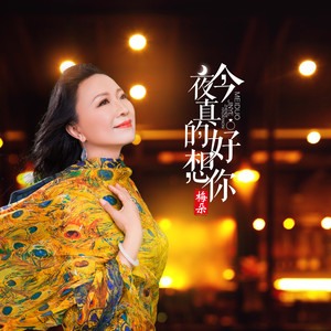 梅朵《今夜真的好想你》Flac/MP3格式 无损音乐下载-无损音乐源