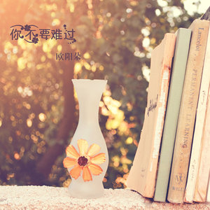 欧阳朵《你不要难过》Flac/MP3格式 无损音乐下载-无损音乐源