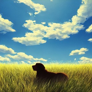 根小八《白云苍狗谣》Flac/MP3格式 无损音乐下载-无损音乐源