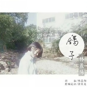 林晨阳《鸽子》Flac/MP3格式 无损音乐下载-无损音乐源