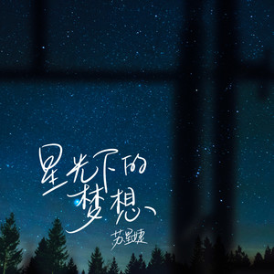 苏星婕《星光下的梦想》Flac/MP3格式 无损音乐下载-无损音乐源