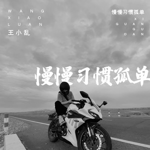 王小乱《慢慢习惯孤单》Flac/MP3格式 无损音乐下载-无损音乐源