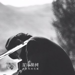 星球撞树《能不能》Flac/MP3格式 无损音乐下载-无损音乐源