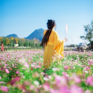 轻渡流年《相思意》Flac/MP3格式 无损音乐下载-无损音乐源