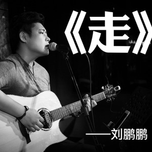 刘鹏鹏《走》Flac/MP3格式 无损音乐下载-无损音乐源
