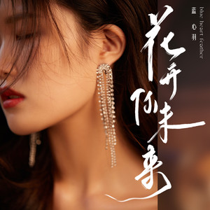 蓝心羽《花开你未来》Flac/MP3格式 无损音乐下载-无损音乐源