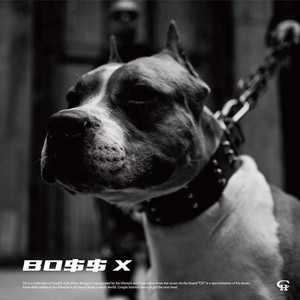 谢帝《这才是成都》Flac/MP3格式 无损音乐下载-无损音乐源