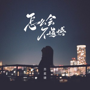 苏星婕《怎么会不遗憾》Flac/MP3格式 无损音乐下载-无损音乐源