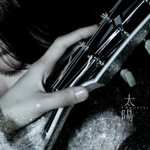 陈绮贞《倔强爱情的胜利》Flac/MP3格式 无损音乐下载-无损音乐源