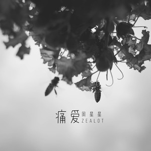 Zealot周星星《痛爱》Flac/MP3格式 无损音乐下载-无损音乐源
