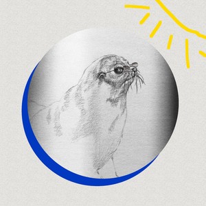 斯斯与帆《看那只海狗在划水》Flac/MP3格式 无损音乐下载-无损音乐源