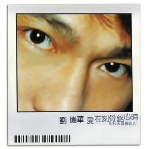 刘德华《老夫妻》Flac/MP3格式 无损音乐下载-无损音乐源