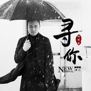 刘明军《寻你》Flac/MP3格式 无损音乐下载-无损音乐源