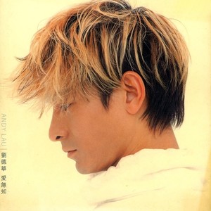 刘德华《一人一步》Flac/MP3格式 无损音乐下载-无损音乐源