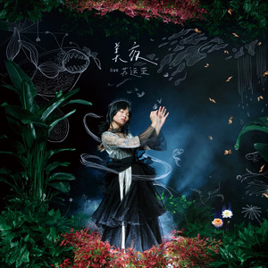 苏运莹《美夜》Flac/MP3格式 无损音乐下载-无损音乐源