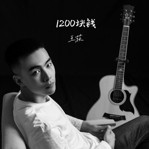 王荻《1200块钱》Flac/MP3格式 无损音乐下载-无损音乐源