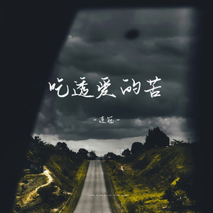 连冠《吃透爱的苦》Flac/MP3格式 无损音乐下载-无损音乐源