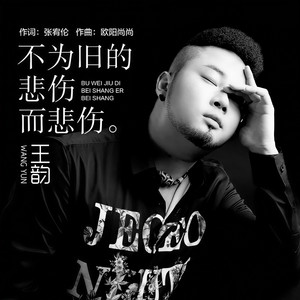 王韵《不为旧的悲伤而悲伤》Flac/MP3格式 无损音乐下载-无损音乐源