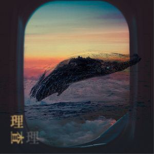 凹与山《理查》Flac/MP3格式 无损音乐下载-无损音乐源