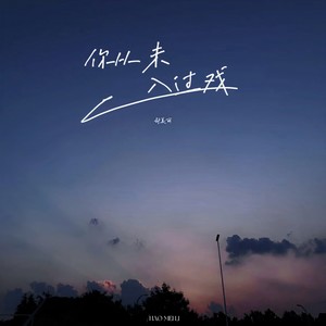 郝美丽《你从未入过戏》Flac/MP3格式 无损音乐下载-无损音乐源