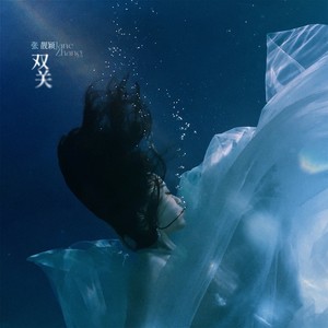 张靓颖《双关》Flac/MP3格式 无损音乐下载-无损音乐源