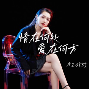 AZ珍珍《情在何处爱在何方》Flac/MP3格式 无损音乐下载-无损音乐源