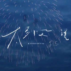 D.S《太多没说》Flac/MP3格式 无损音乐下载-无损音乐源