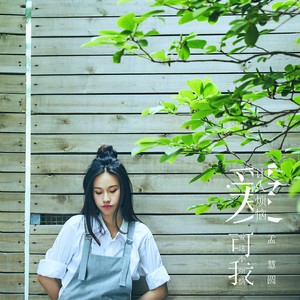 孟慧圆《爱让人烦恼，可我爱这个烦恼》Flac/MP3格式 无损音乐下载-无损音乐源