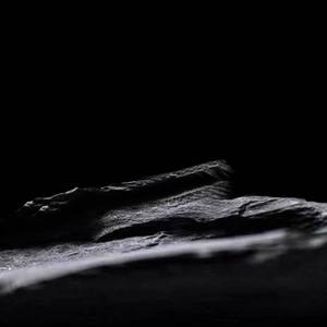 Fine乐团《你在谁的回忆里头》Flac/MP3格式 无损音乐下载-无损音乐源