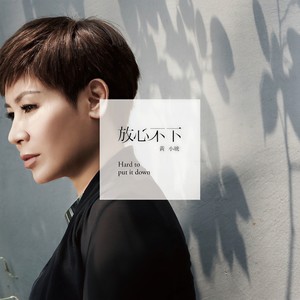 黄小琥《放心不下》Flac/MP3格式 无损音乐下载-无损音乐源