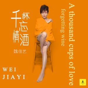 魏佳艺《千杯忘情酒》Flac/MP3格式 无损音乐下载-无损音乐源