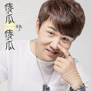 张雷《傻瓜傻瓜》Flac/MP3格式 无损音乐下载-无损音乐源