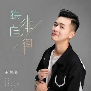 小阿枫《独自徘徊》Flac/MP3格式 无损音乐下载-无损音乐源