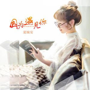 夏婉安《因为遇见你》Flac/MP3格式 无损音乐下载-无损音乐源