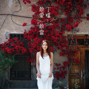 丁当《幸福的可能》Flac/MP3格式 无损音乐下载-无损音乐源