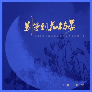夏初安《别等到花枯萎》Flac/MP3格式 无损音乐下载-无损音乐源