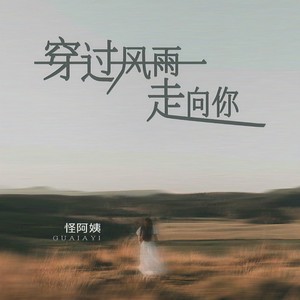 怪阿姨《穿过风雨走向你》Flac/MP3格式 无损音乐下载-无损音乐源