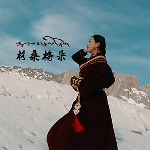 年才让《格桑梅朵》Flac/MP3格式 无损音乐下载-无损音乐源