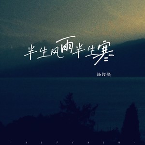 怪阿姨《半生风雨半生寒》Flac/MP3格式 无损音乐下载-无损音乐源