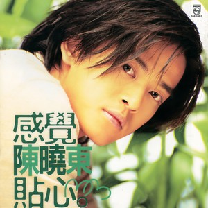 陈晓东《孤单的夜里我不孤单》Flac/MP3格式 无损音乐下载-无损音乐源