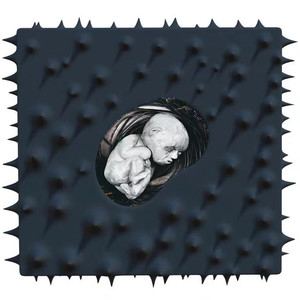 赵泰《好花红》Flac/MP3格式 无损音乐下载-无损音乐源