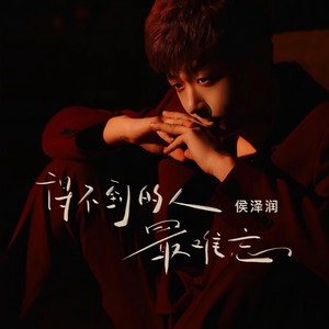 侯泽润《得不到的人最难忘》Flac/MP3格式 无损音乐下载-无损音乐源
