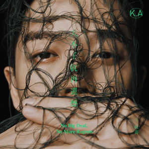 王栎鑫《大不了就再遗憾》Flac/MP3格式 无损音乐下载-无损音乐源