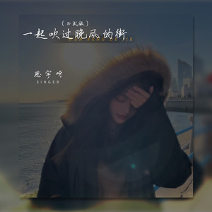思宇呀《一起吹过晚风的街》Flac/MP3格式 无损音乐下载-无损音乐源